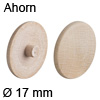 Abdeckkappe aus Echtholz, für Verbindungsgehäuse Minifix Ahorn - ø 17 mm, Minifix 12 & 15