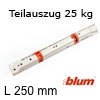 Standard Teilauszug 250 mm - 25 kg Rollenführung Teilauszug 250 mm